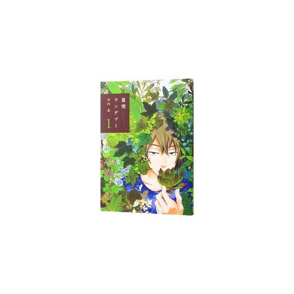 夏雪ランデブー 1／河内遙