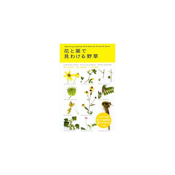 花と葉で見わける野草／近田文弘