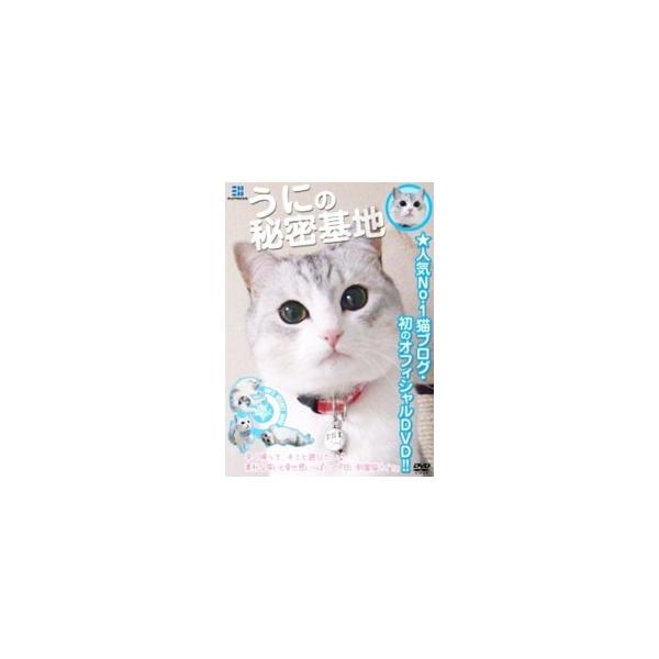 DVD／うにの秘密基地 甘い部屋猫ライフ♪ 猫ブログ人気No．1