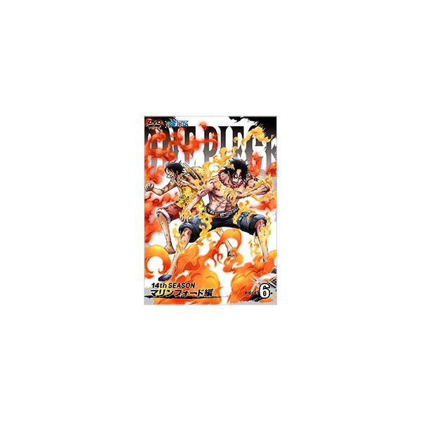 ワンピース マリンフォード みんな探してる人気モノ ワンピース マリンフォード