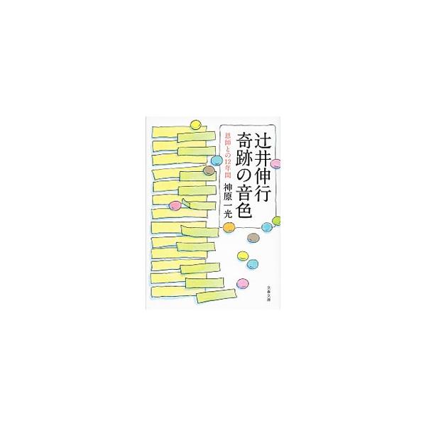 辻井伸行　奇跡の音色 恩師との１２年間 文春文庫／神原一光【著】