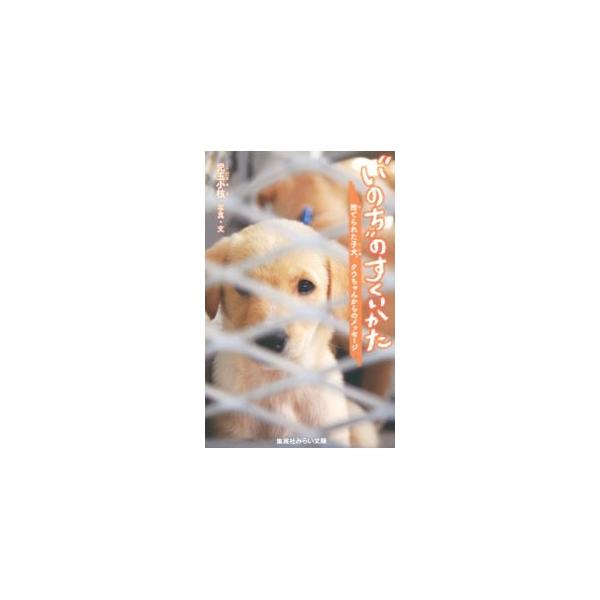 クウちゃんは生後２ケ月の子犬。動物収容施設にいたが、新たな飼い主がみつかることに。“捨てられるいのち”に私たちができることはなにか。真実を伝えるフォト・ストーリー。■カテゴリ：中古本■ジャンル：女性・生活・コンピュータ 犬の本■出版社：集英...