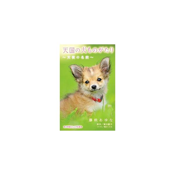 空太の新しい家族のゴンタはやんちゃな子犬。ある日、家から脱走してしまい…。「はじまりはじまり」をはじめ、犬と人間の絆を綴った感動の全４編を収録。Ｓｈｏ‐ＣｏｍｉＦＣ「天国の犬ものがたり」シリーズをノベライズ。■カテゴリ：中古本■ジャンル：料...