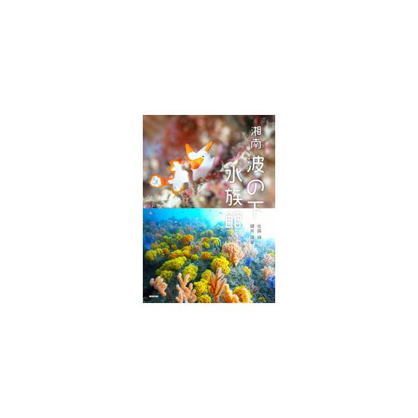 湘南波の下水族館／佐藤輝