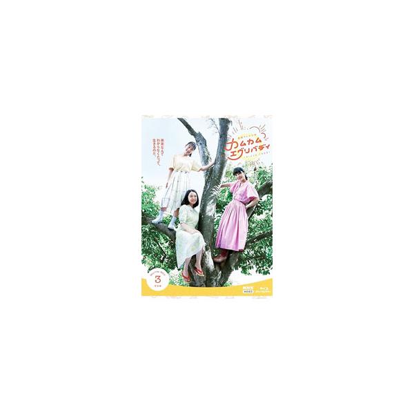 Blu-ray／連続テレビ小説 カムカムエヴリバディ 完全版 ブルーレイBOX3