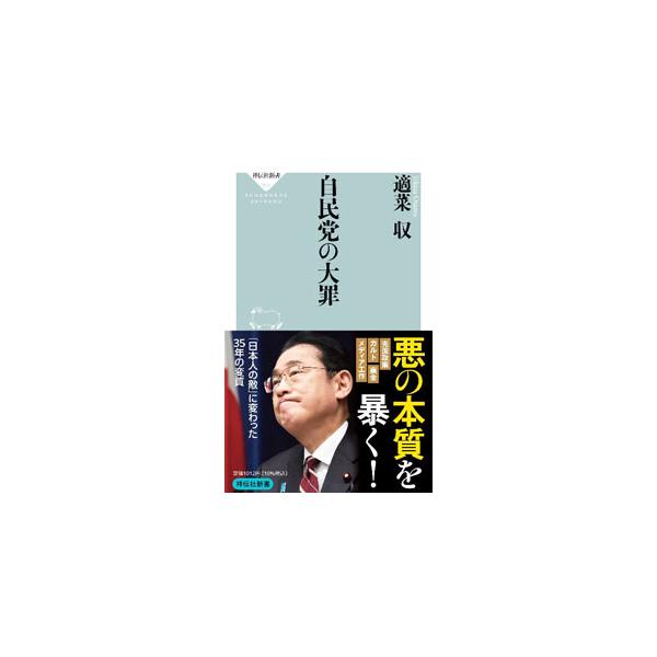 自民党の大罪／適菜収