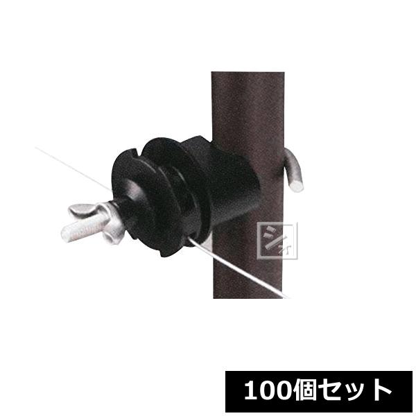 dq dC #304 EKCV i100Zbgj