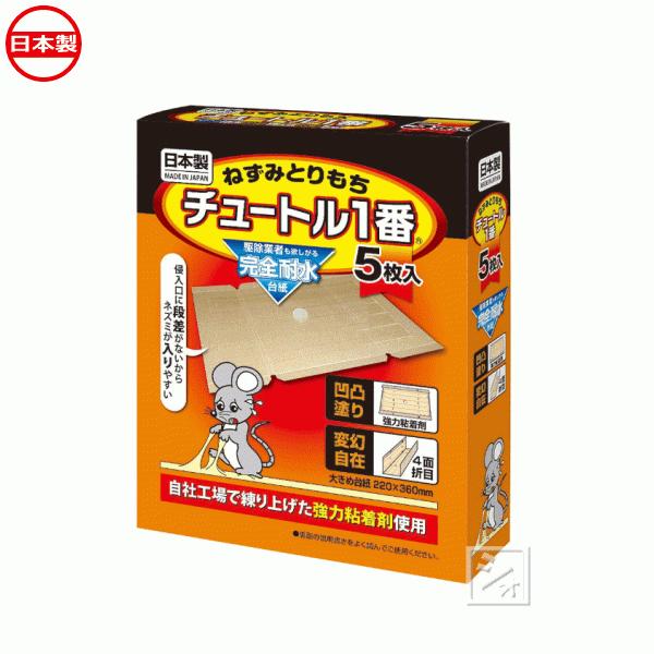 とりもち とりもち Japanese English Dictionary Japaneseclass Jp