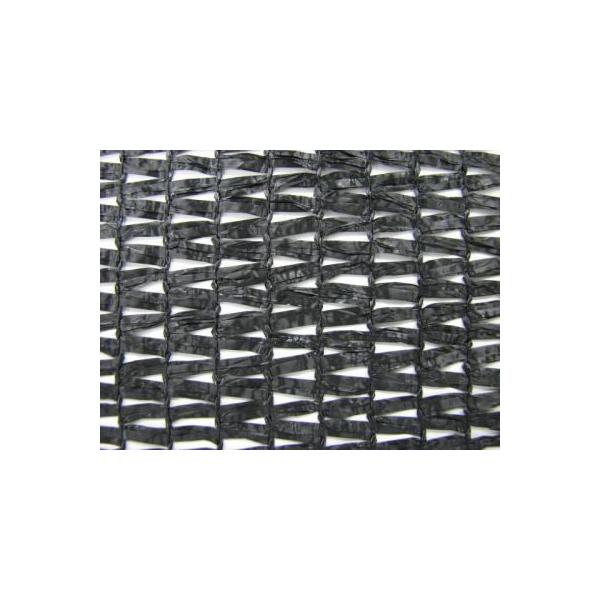 CmxbNX Ռlbg ibZ1600j 60`65  2m×50m ǂȂ