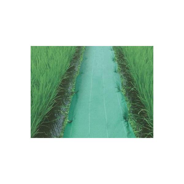 CmxbNX _CIlNX 0.5m×100m