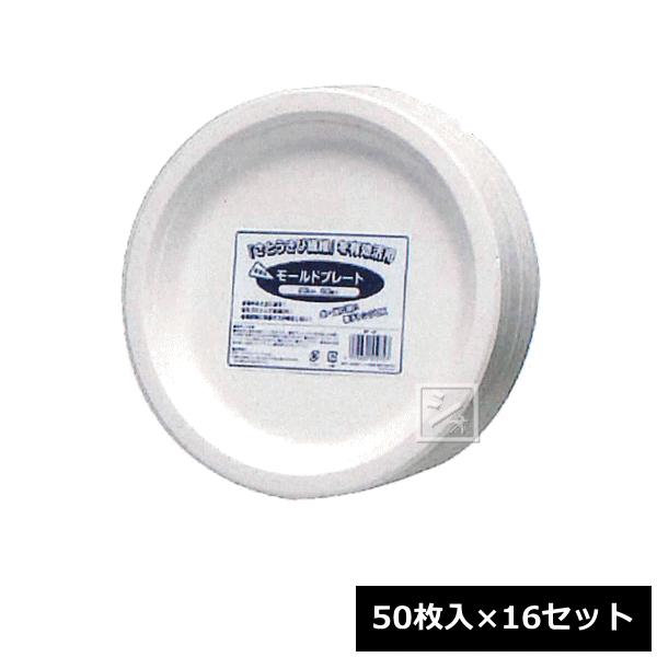 V ĝėe BP-03 Ɩp [hv[g 23cm 50×16Zbg