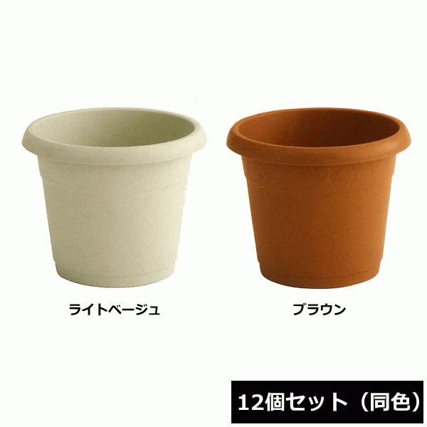 i@lzj ACJ Aؔ [|bg 380^ 12Zbg F