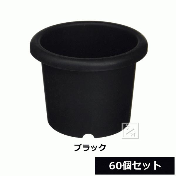 i@lzj ACJ e 5^ 60Zbg ubN