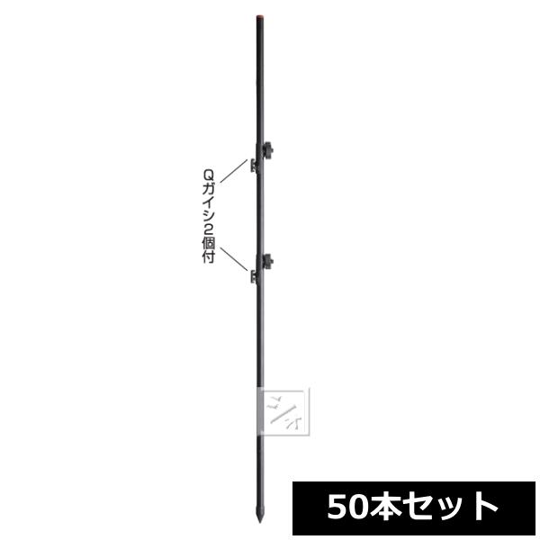 dq dC #252 FQ2|[ 50{Zbg