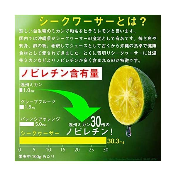 6本セット シィクワシャー 360ml 比嘉製茶 沖縄県産シークワーサー100 果汁 Www Fakfakkab Go Id