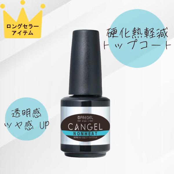 PREGEL プリジェル ノンワイプクリア トップ トップコート 8g