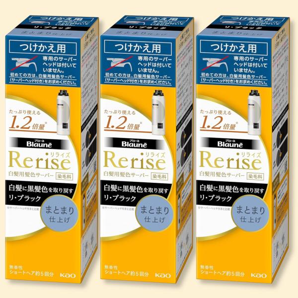 リライズ 白髪用髪色サーバー リ ブラック まとまり仕上げ 付け替え専用 190g × 3個セット