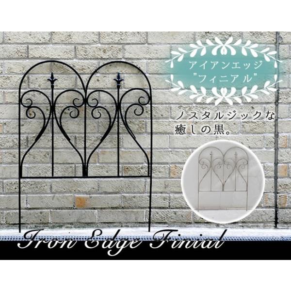 K[ftFX ACA  chx i  d؂  Ԓd 79 ߍݎ ubN zCg