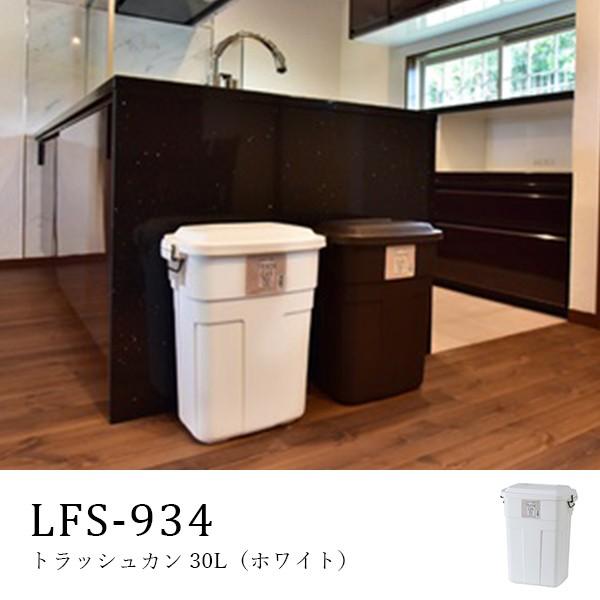 ݔ _Xg{bNX 30L t^t ȃXy[X gbVJ Ogp\  zCgJ[