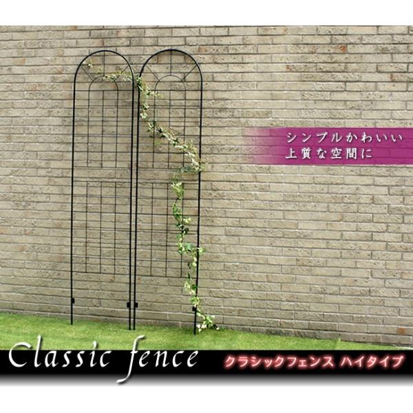 K[ftFX ACA ubN  chx  d؂  Ԓd 220 ߍݎ NVbNtFX 2g