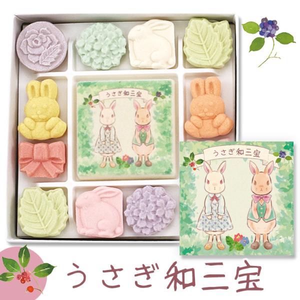 netshop-sakurado_mr-usagi