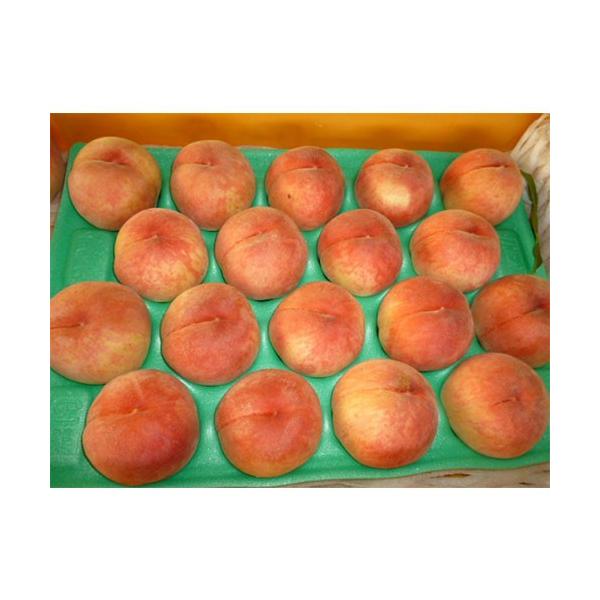 あかつき 福島産 桃 1箱 約5kg（18玉入り） 送料無料 : 根津果樹