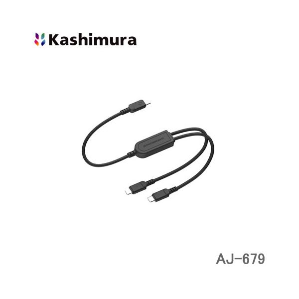 カシムラ USB充電＆同期 二股ケーブル 黒 自動分配1.2m ケーブル1本で2