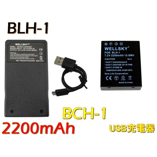 BLH-1 ݊obe[ 2200mAh 1 + y USB Type-C } ݊ [d obe[`[W[ BCH-1 1  OLYMPUS IpX