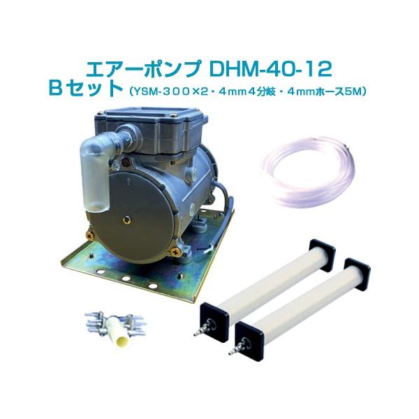 【状態良好】DHM 100グレート・レコーディングス 格安エアーポンプ、バッテリーブロアー、12v・24v船舶や車で