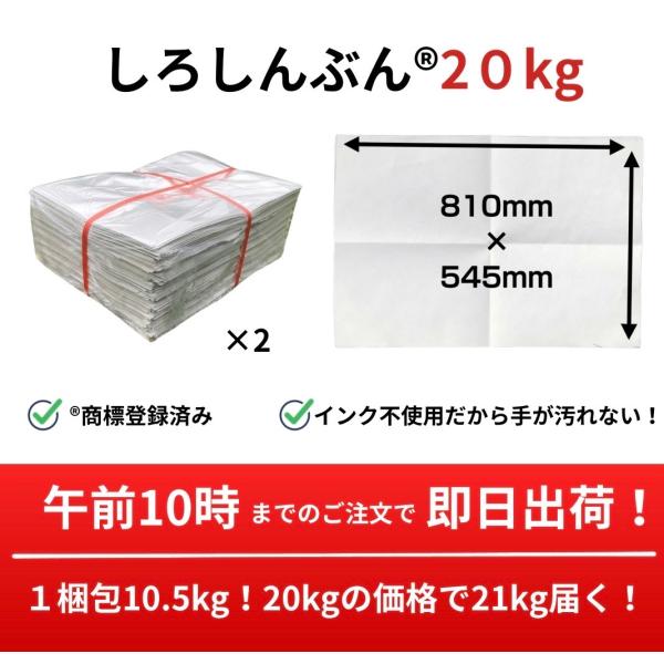 【只見地区無料お届け】新品新聞紙 約200kg 梱包用、ペット用などに！【現在約5ヶ月まち】 白新聞紙 20kg 1,120枚 業務用 810×545mm 10kgあたり2,370円 インクで