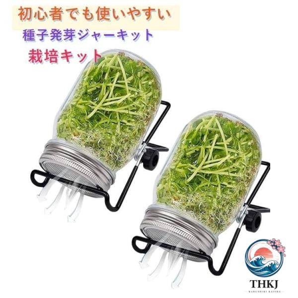 大型広口 種子発芽ジャーキット ブロッコリー ブロッコリースプラウト 種子発芽成長キット アルファルファ豆 スプラウト栽培キット 種子発芽ジャーキット