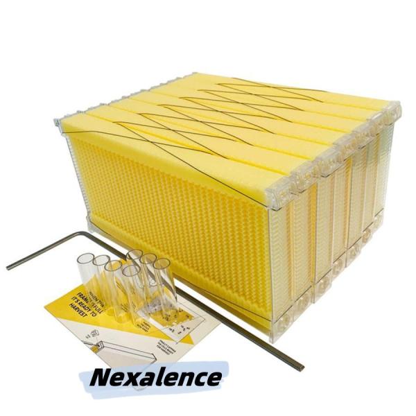 ミツバチ 巣箱 蜜蜂巣箱 フローハイブ 蜂巣 巣脾 巣礎 巣枠 ミツバチ巣 4個 ミツバチ 巣箱 蜜蜂巣箱 4/7個 フローハイブ 蜂巣 巣脾 巣礎 巣