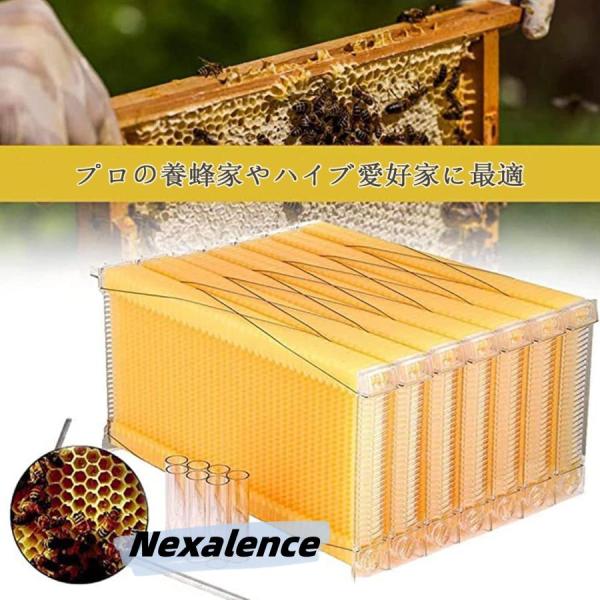フローハイブ 蜂巣 蜜蜂巣箱 巣脾 巣礎 巣枠 ミツバチ巣 7Pcs | JChere