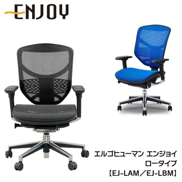 Ergohuman ENJOY エルゴヒューマン エンジョイ EJ-LBM BK (KM-11