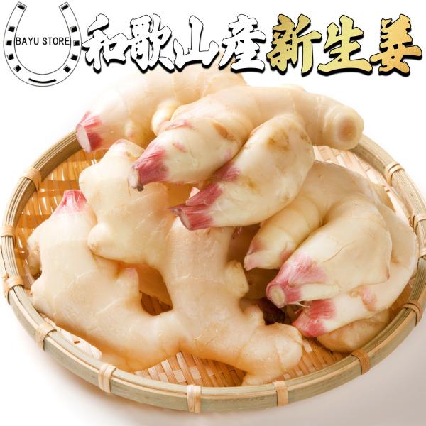 新生姜 1kg」の人気商品一覧 | 安い商品を通販サイトから探す