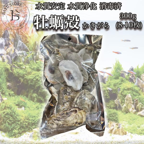 牡蠣殻 国産 アクアリウム 天然 水質安定 水質浄化 肥料 水槽 オーナメント 貝殻名称牡蠣殻内容量300g (8-10枚ほど)備考大阪市生野にあるメダカ専門店「メダカフレンド」で一つ一つ丁寧に水洗い、煮沸消毒、天日干しを行なった国産の天然...