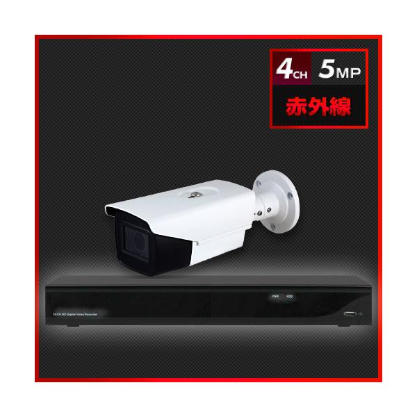 500万画素 赤外線 防犯カメラ　1台セット【4CH/2TB】