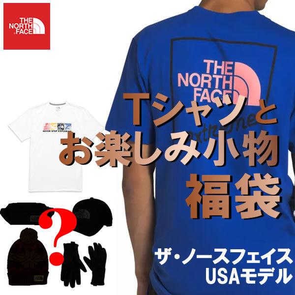 UEm[XEtFCX THE NORTH FACE USAf  Y TVcƔ閧̏ yݕ܁yad1524z