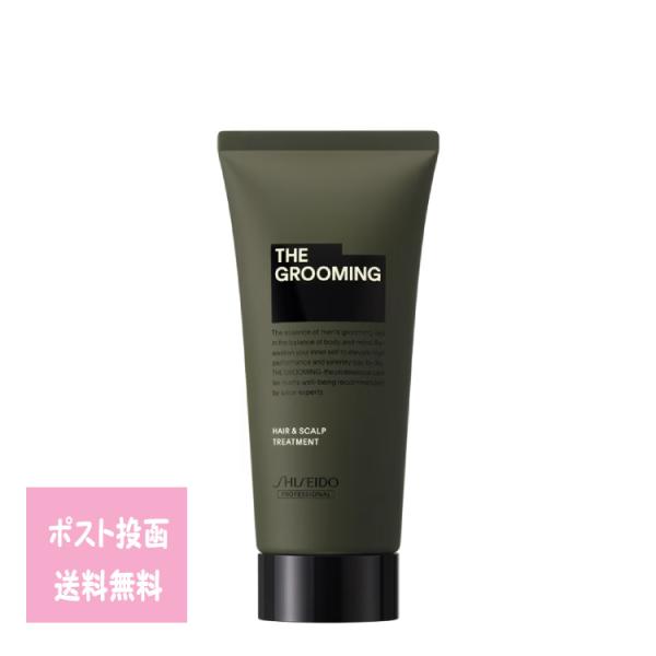 THE GROOMING ザ・グルーミング トリートメント60ｇ 詰替え 皮脂汚れ ニオイ ボリューム トリートメント メンズ 男性 TREATMENT 軽さ サロン スカルプケア