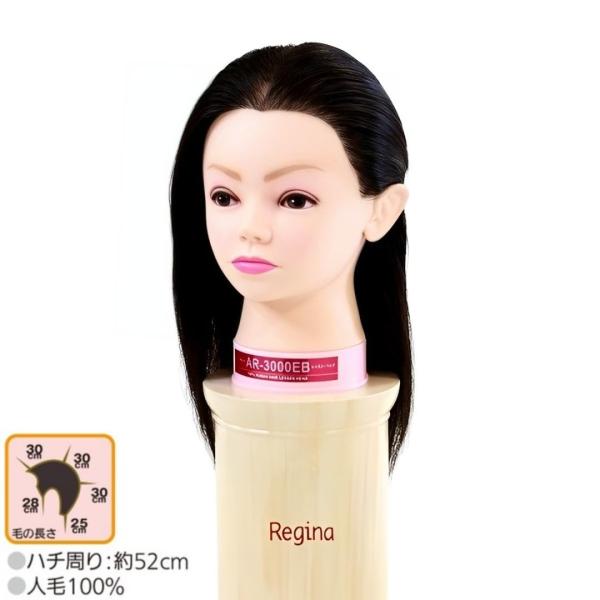 カットウィッグ レジーナ AR-3000EB (美容師 スタイリスト サロン カット パーマ ヘアカラー セット 編み込み アップ 練習)   爆買