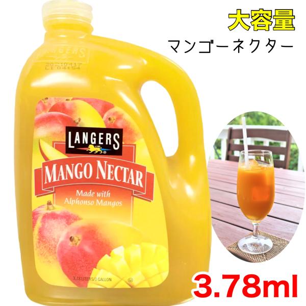 ランガース マンゴーネクター 2枚目