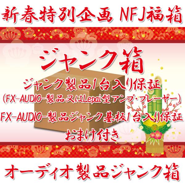 JUNK箱・限定80箱] 新春特別企画 NFJ福箱『Lepai系アンプ・プレーヤー
