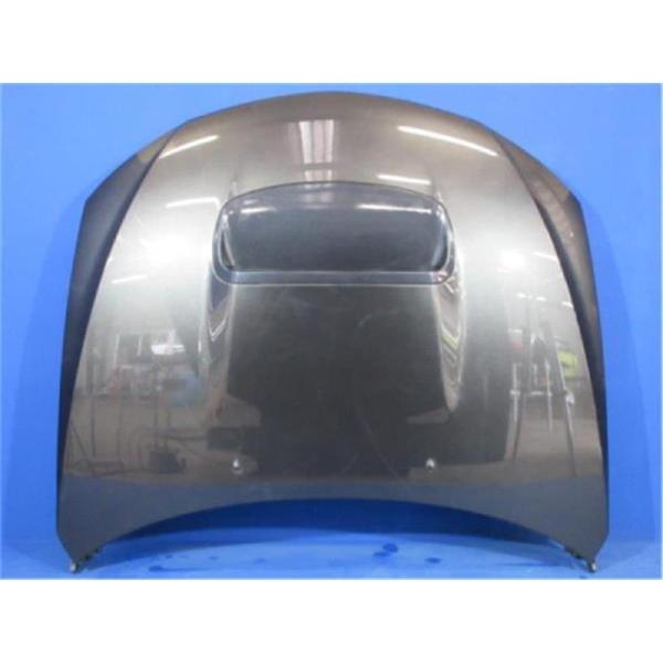 R2 RC1 ボンネット・フードパネル Fプラス 57229KG0009P B5P ngp-parts-o-store_30800-25019136