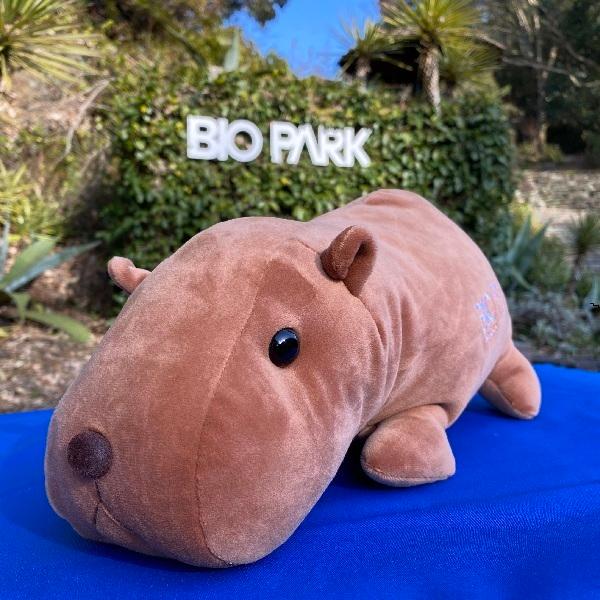 もっちりカピバラM : 長崎バイオパーク アミーゴス - 通販 - Yahoo