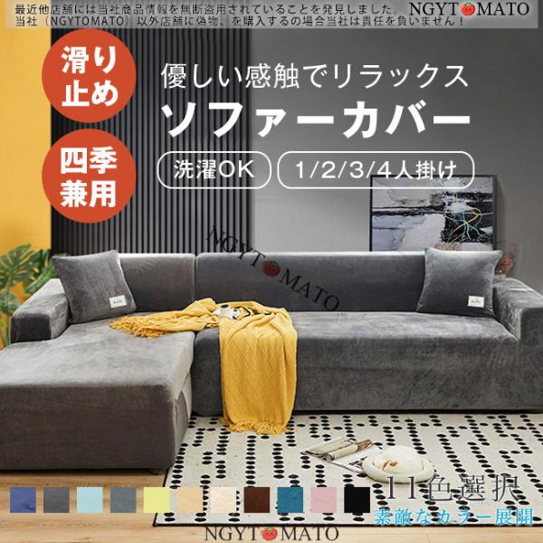 ngytomato_04012203sft15