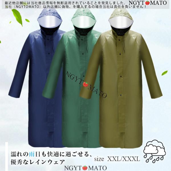 ngytomato_04012204ltym01
