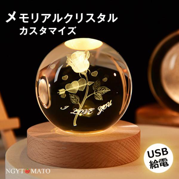 ngytomato_04012403dzsj03