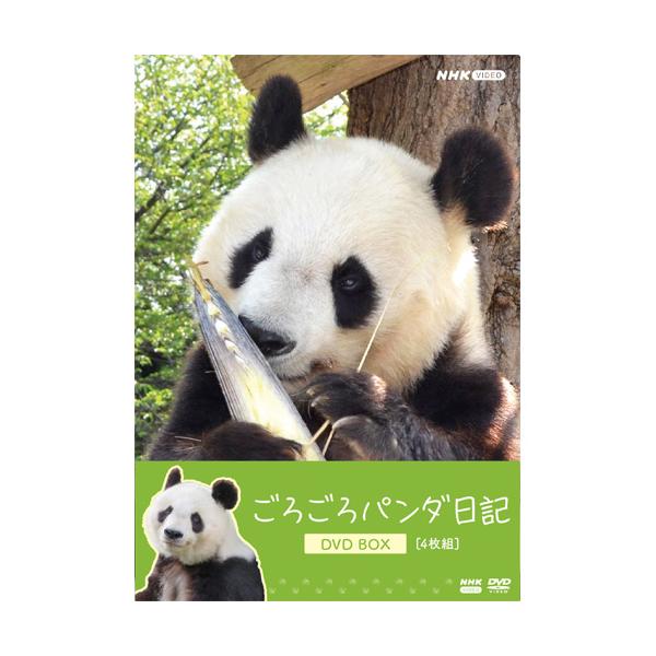 [Release date: March 27, 2026]神戸市立王子動物園の人気者パンダのタンタン。短い手足にモフモフの体。そして愛くるしい表情。「神戸のお嬢さま」と呼ばれ多くの人々に愛されたが、２０２４年３月３１日にこの世を去った――...