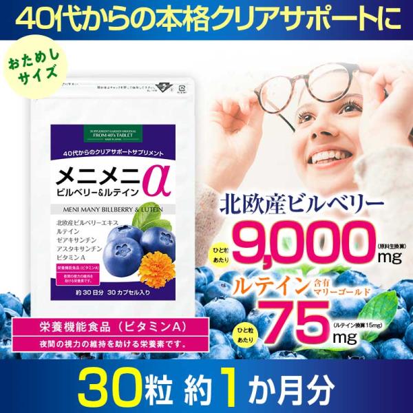 ビルベリー ブルーベリー サプリ ルテイン 約1ヶ月分 ゼアキサンチン 北欧産 ビルベリー １粒9000mg ビタミンA アスタキサンチン サプリメント