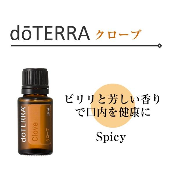 ドテラ クローブ 15ml シングルオイル【使用期限：2028年5月】 : N&H